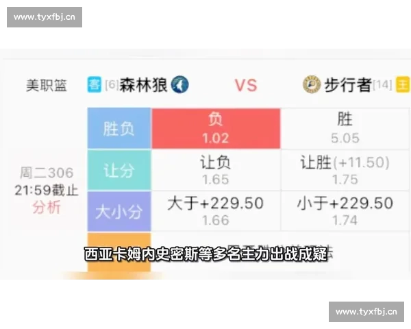 本周篮球赛事深度解析与最新热门推荐指南 - 副本 (2) - 副本