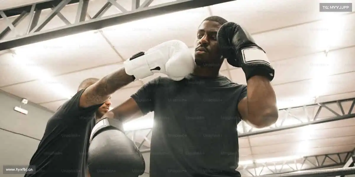 行业领先的理由